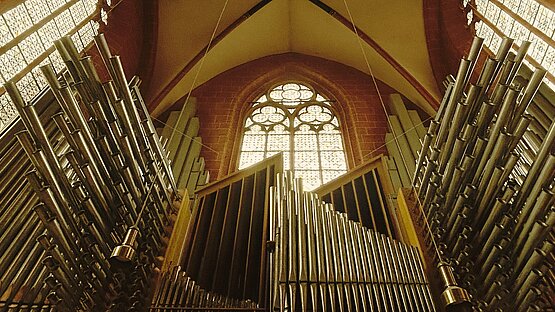Domführung mit Orgel